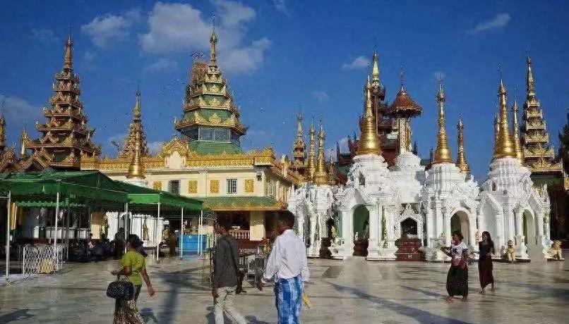 网络三支队伍,网络三支队伍是哪三支