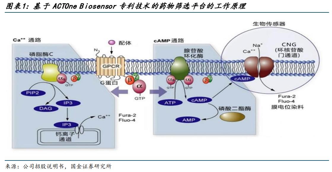 特宝生物乙肝,特宝生物乙肝新药