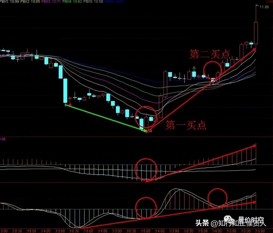 学到极致是什么意思,学到极致便是沧海一粟