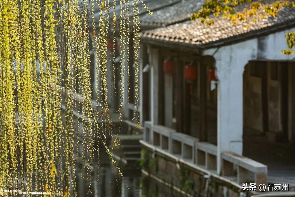 苏州春季旅游路线攻略,苏州春季旅游攻略路线推荐