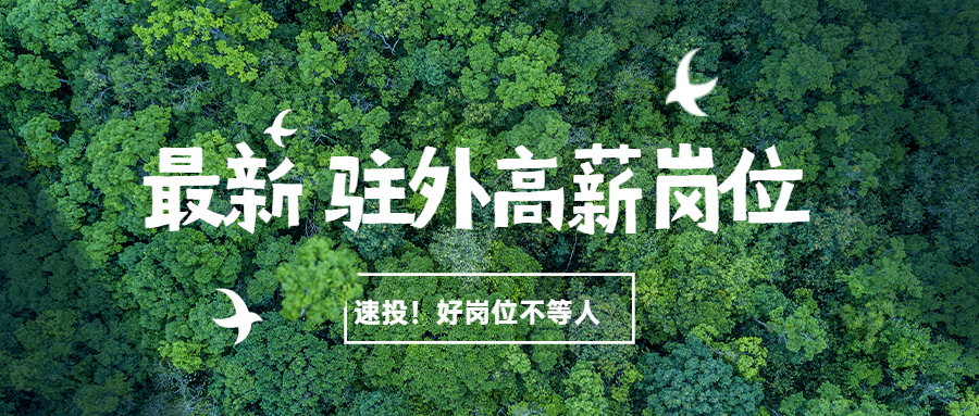 【驻外招聘】——物流、财务、电工