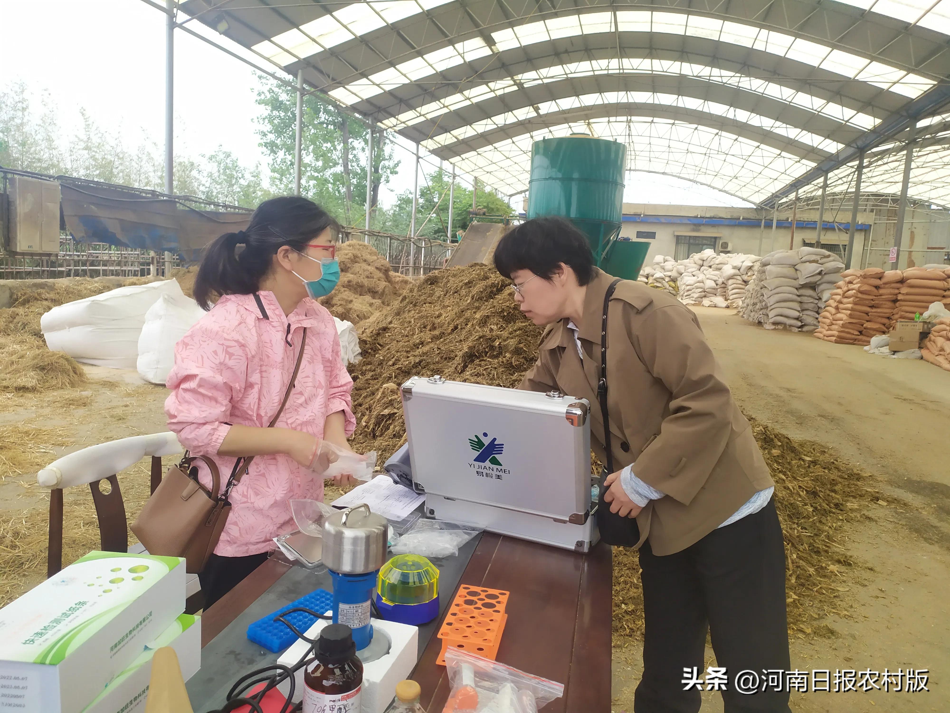 推动肉牛全产业链发展做大做强,云南省现代农业肉牛产业体系