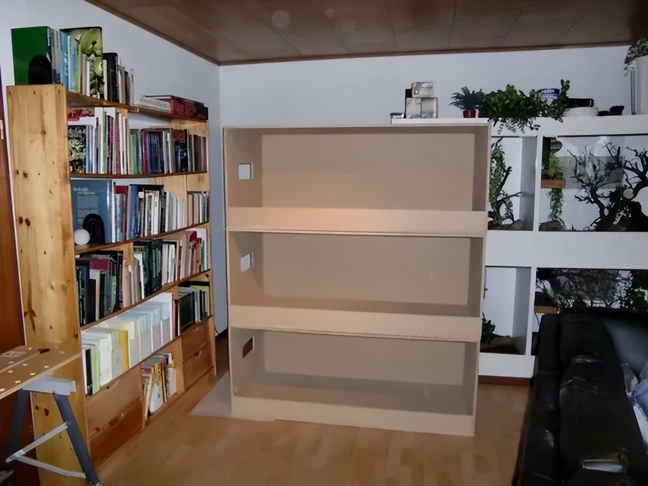 「原来欧洲有这么多种蛇？！」偷师卡塞尔的豢龙大师·下