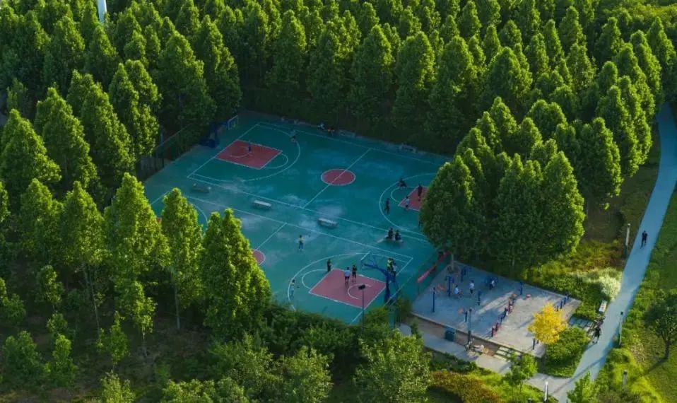 您身边的释放压力的休闲运动场所,家门口的专业运动场地