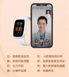 康家医疗,康家医运营模式