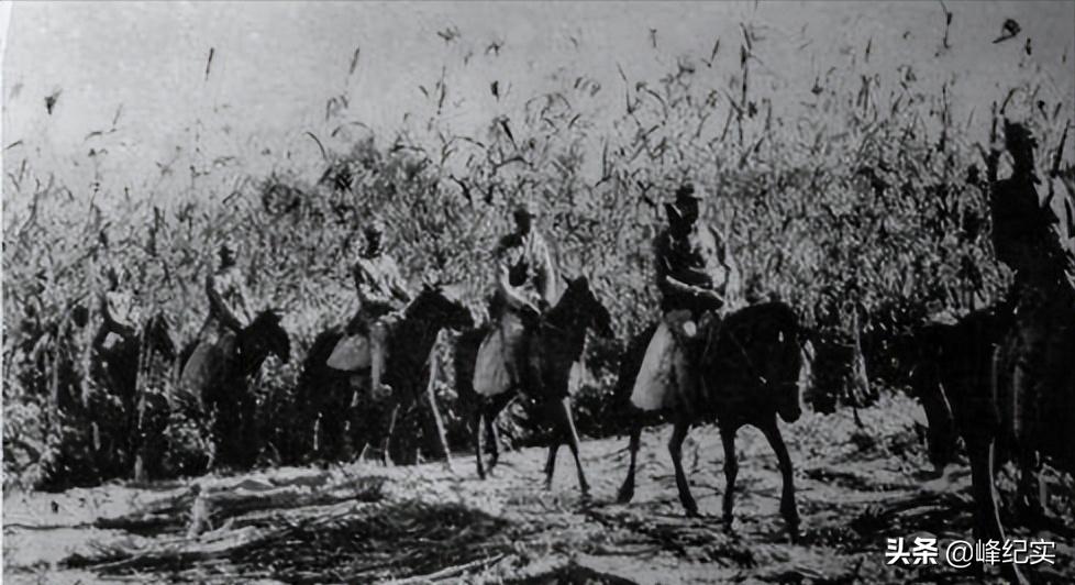 新四军飞马牌烟,新四军生产的飞马牌香烟