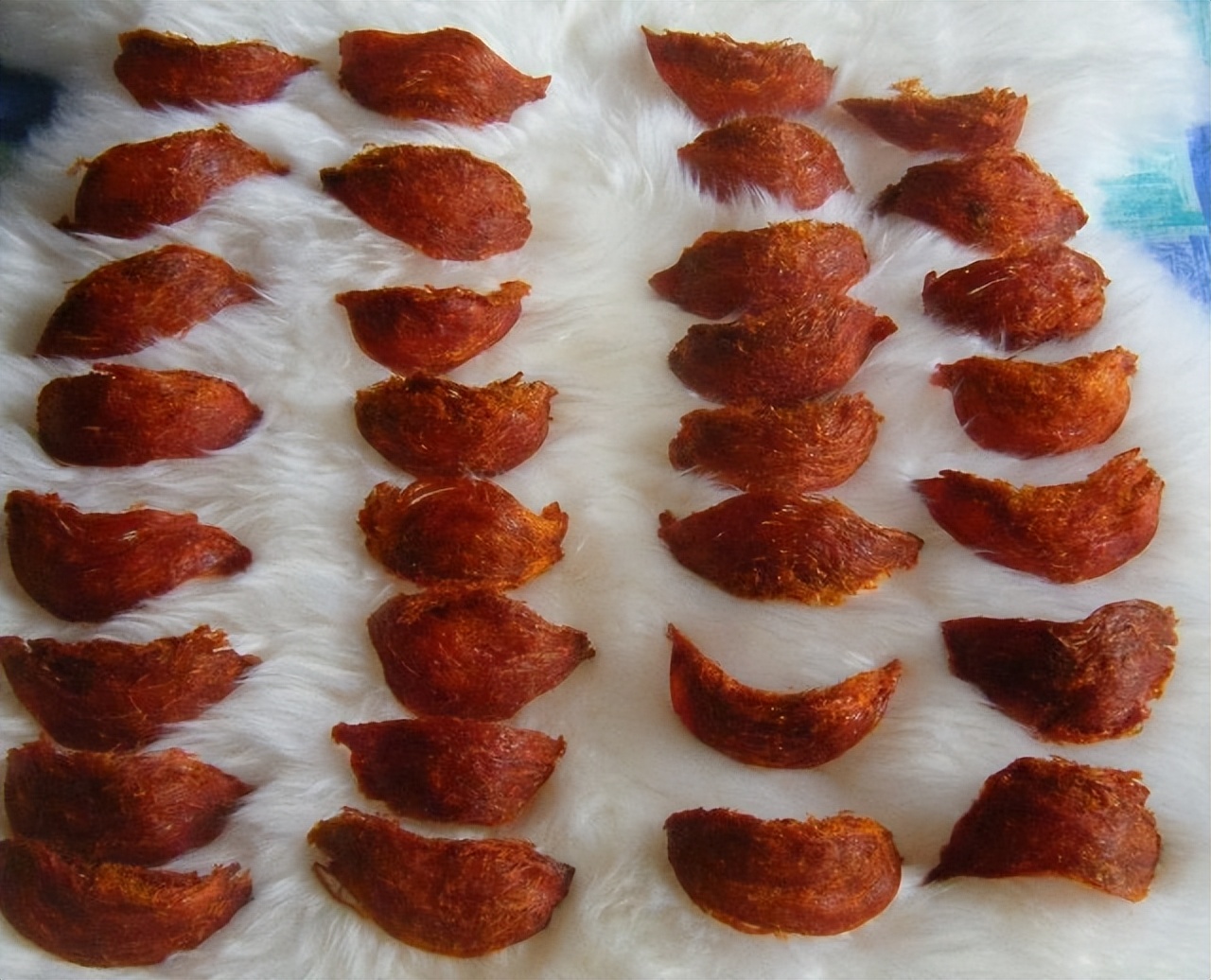 燕窝的燕子口水为什么有营养,燕窝只是燕子的口水为什么这么贵