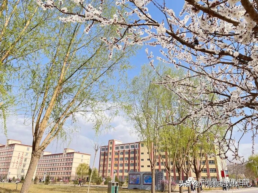 广河县三甲集中学官网,广河县三甲集高中简介