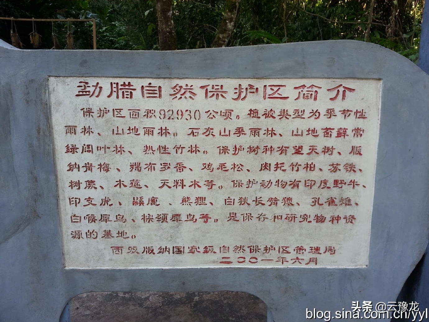 西双版纳磨憨自驾游攻略,自驾游云南版纳旅游攻略