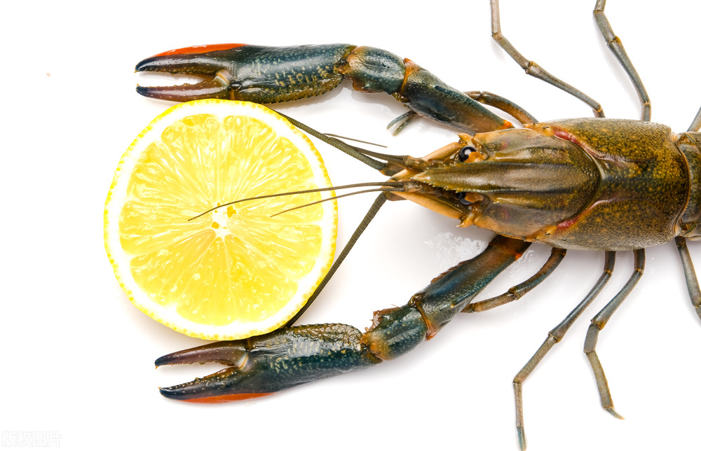 男子恶意差评索退款,男子恶意下单报复退款惨遭拒绝