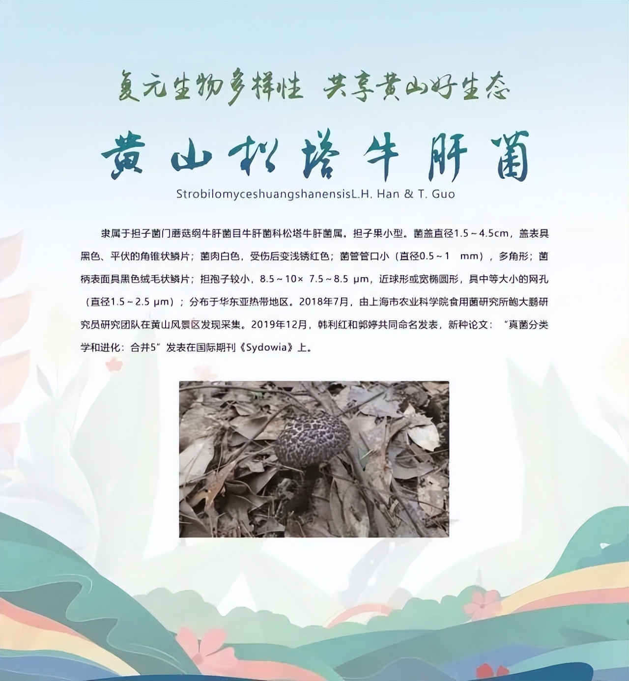 合肥二十种人气美食,合肥好吃的美食排行榜海鲜