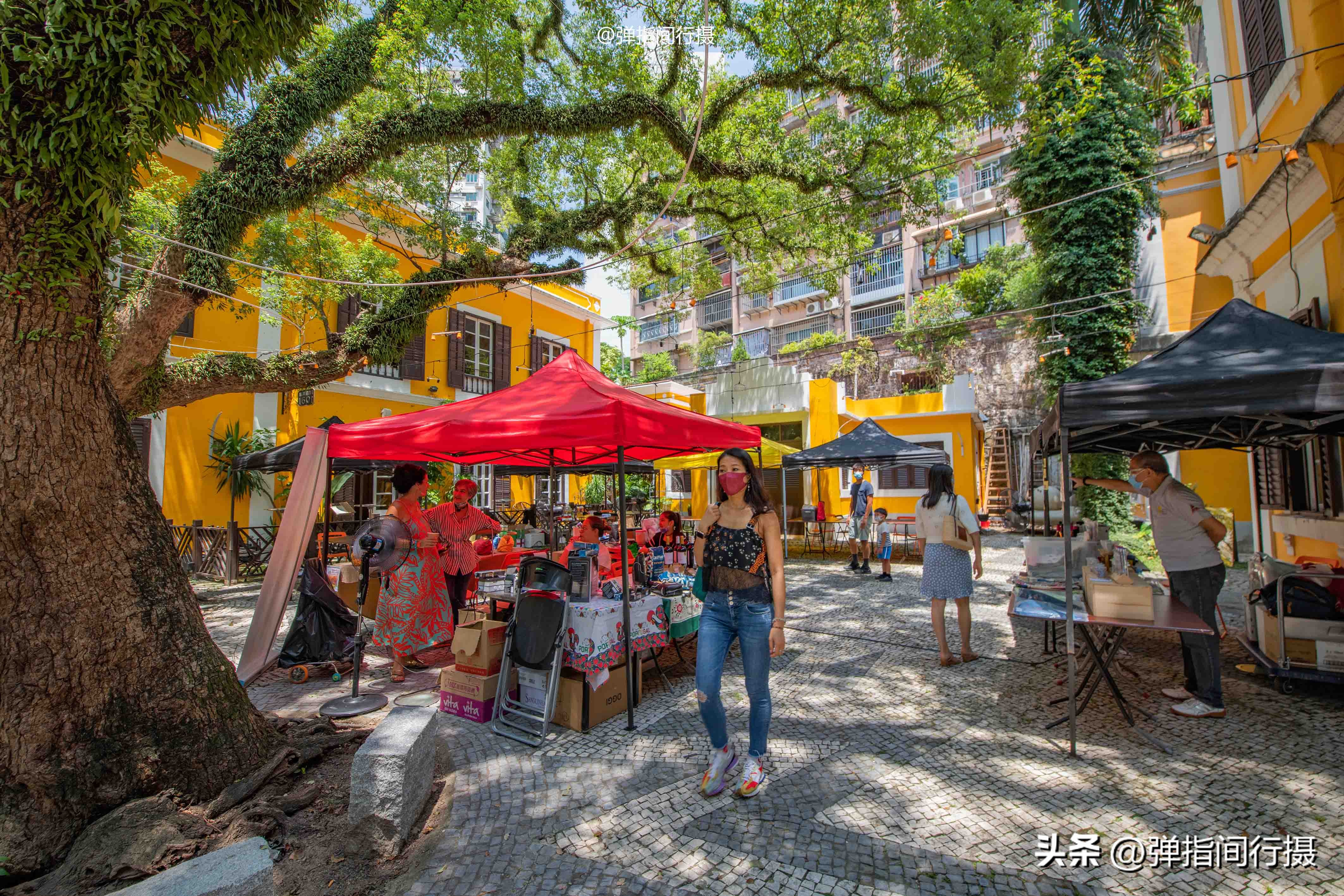 澳门旅游省钱攻略,澳门旅游吃喝玩乐推荐