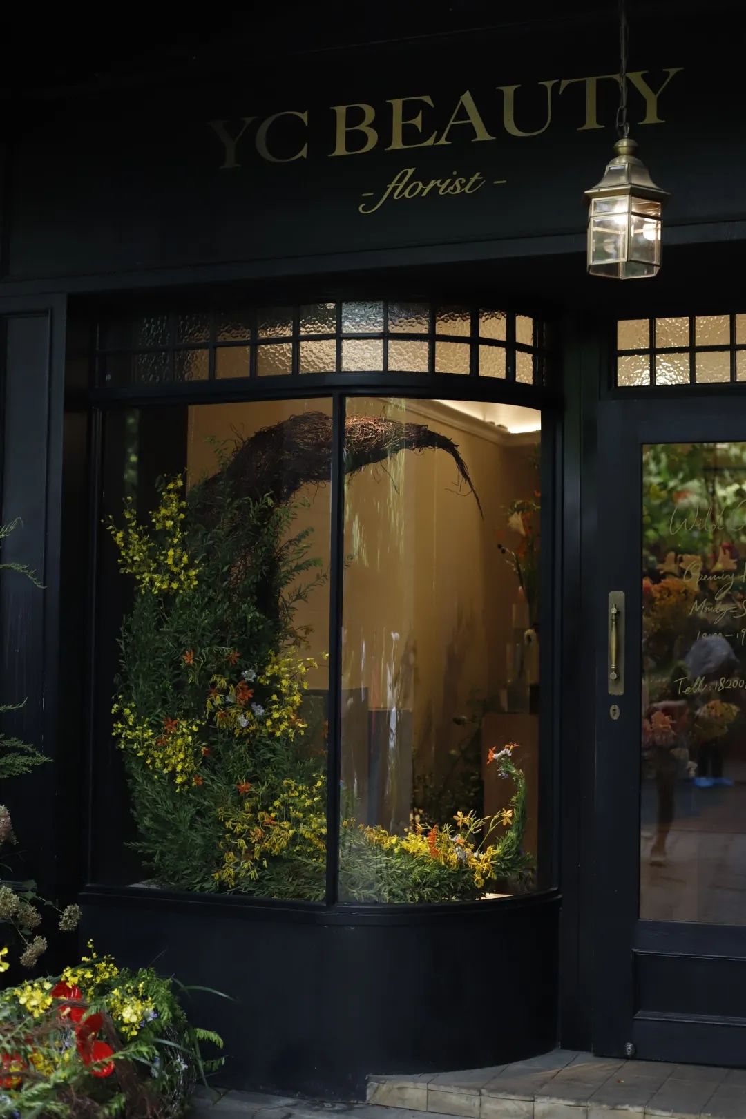 “野生”风格受欢迎——成都30平方米小花店，一年收入250万元