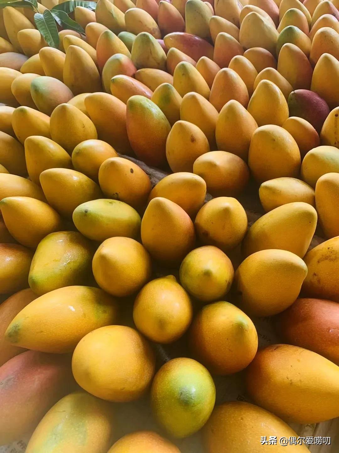 对快递有疑惑,快递的迷惑行为