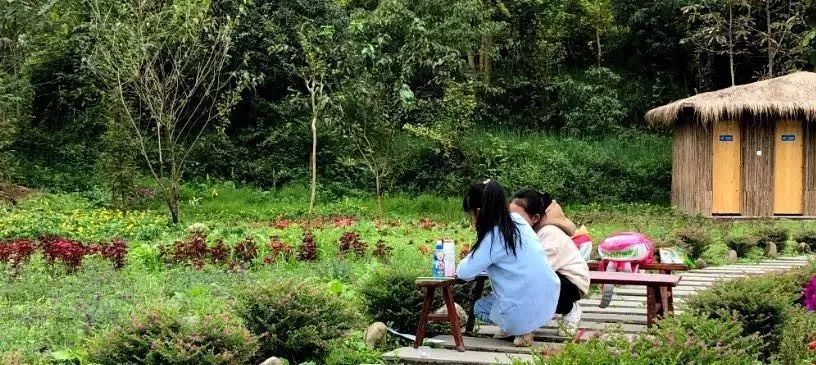 都江堰好玩的打卡地,好玩地方推荐适合带小孩都江堰