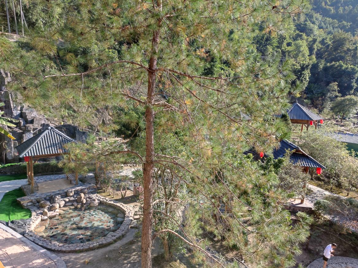 清远避暑温泉山庄,清远森林温泉