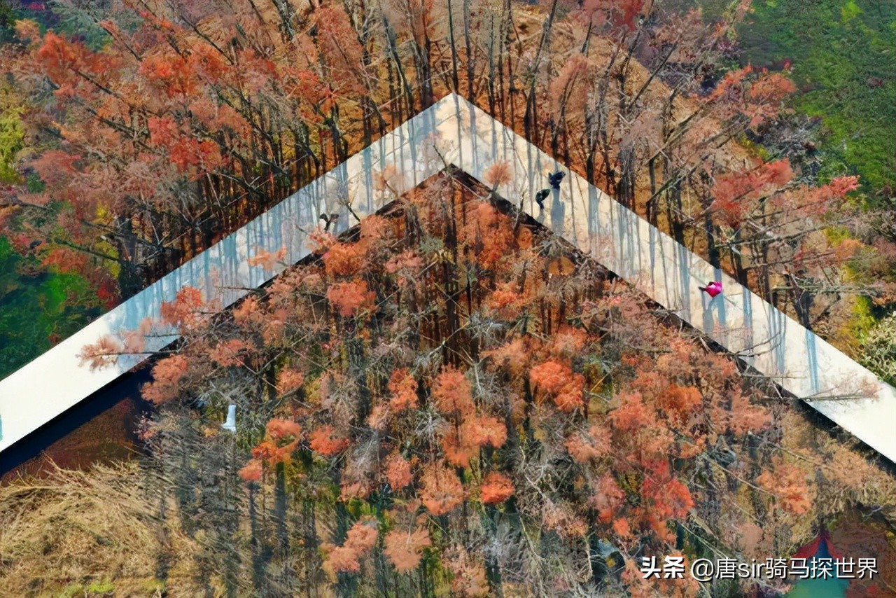 深藏于南昌城内的惊艳，好似上帝手中被打翻的调色盘，令人沉醉