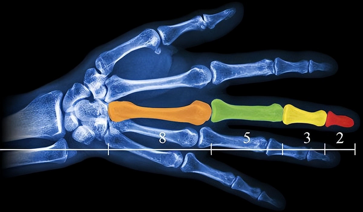 上帝的数字是20,上帝的数字代码