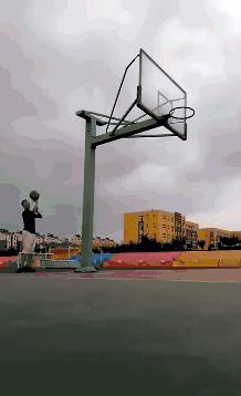 小鳄龟为啥养着养着就断尾了,以前不理解别人养宠物