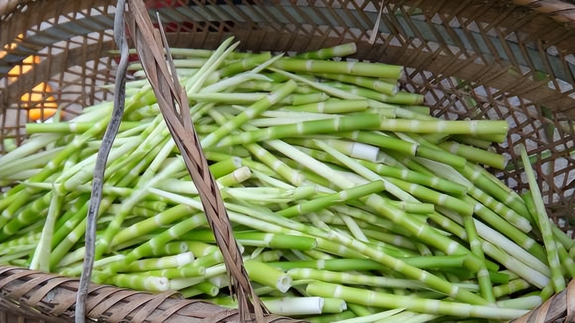 山民教剥竹笋只需3步轻松剥出笋,每日农经挖笋技巧视频