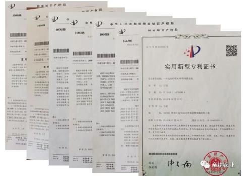 脱皮玉米粒怎么做蒸糕,脱皮玉米粒是怎么脱皮的