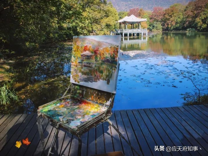 来南京不能错过的小众打卡地,南京江宁小众打卡点