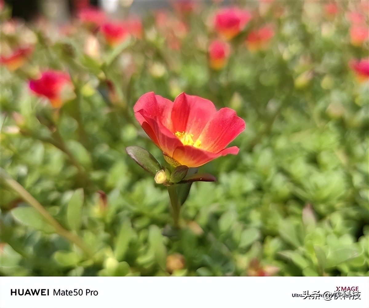 618换手机推荐旗舰机,618换机推荐华为