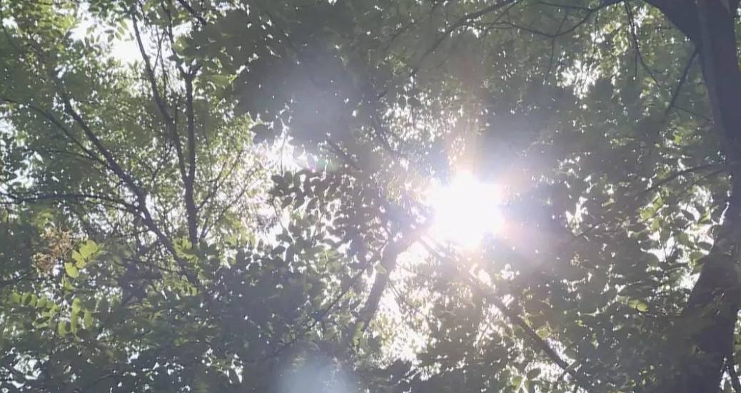 红霉素软膏可以去除老年斑吗,红霉素软膏和姜粉治老年斑吗