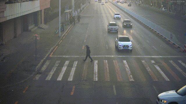 礼让行人奖励油卡,礼让行人加油券在哪里领取