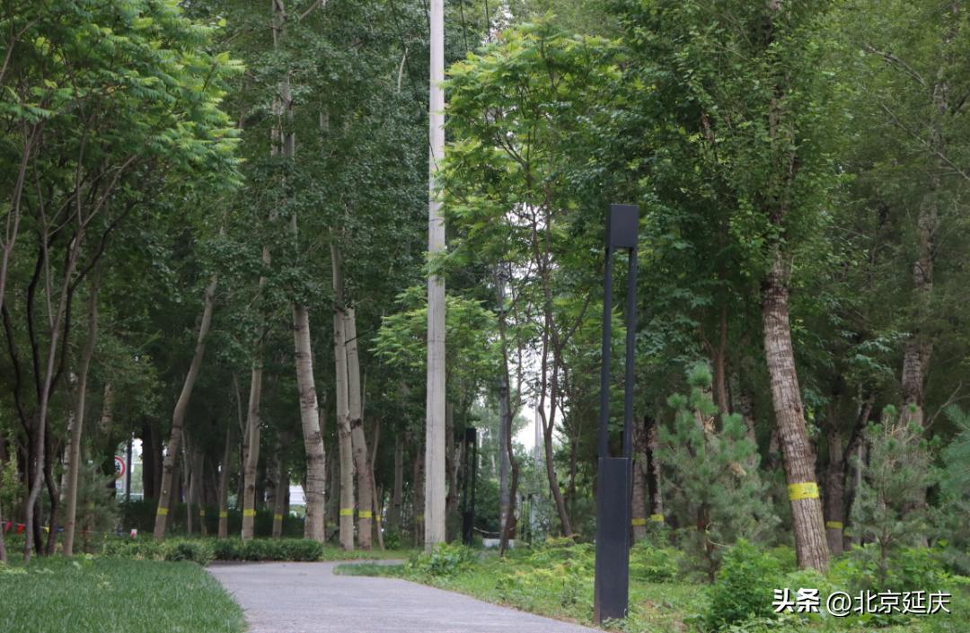 延庆米黄路,延庆米黄路加宽扩建项目