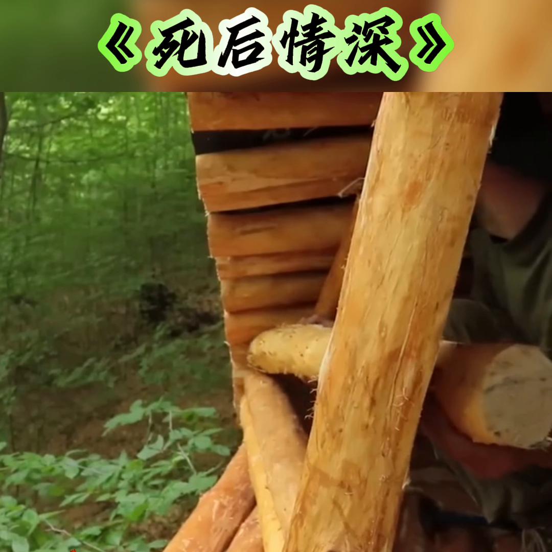 抖音故事推文爆款最新,抖音故事大全完整版