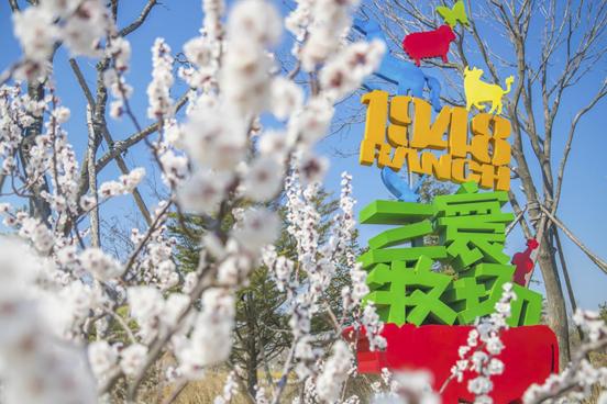 三寰牧场推出春日「野生」计划清明节踏青觅春拾趣自然