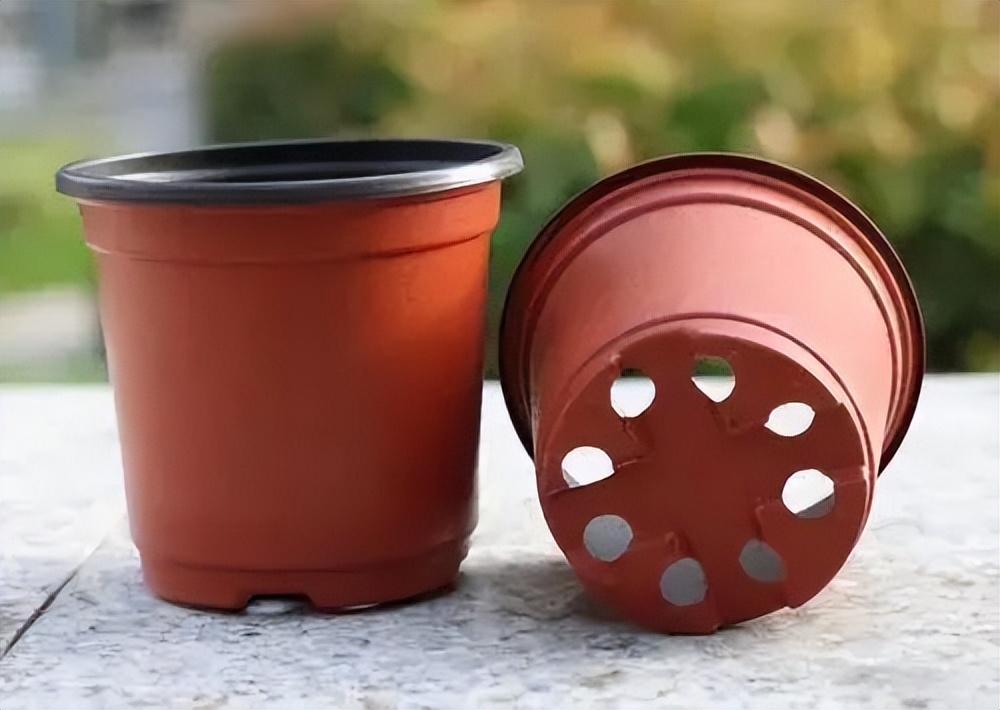 养花用陶瓷盆还是紫砂盆好,塑料盆和陶盆的优缺点