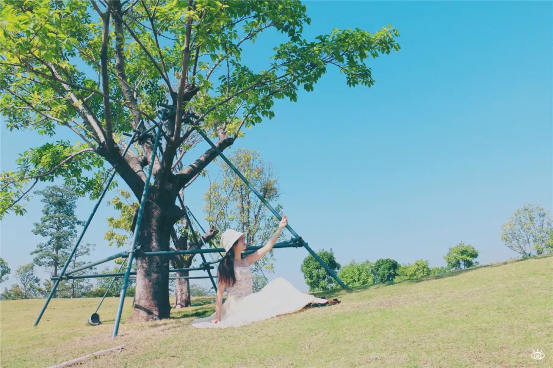 深圳超美公园,深圳好风景公园