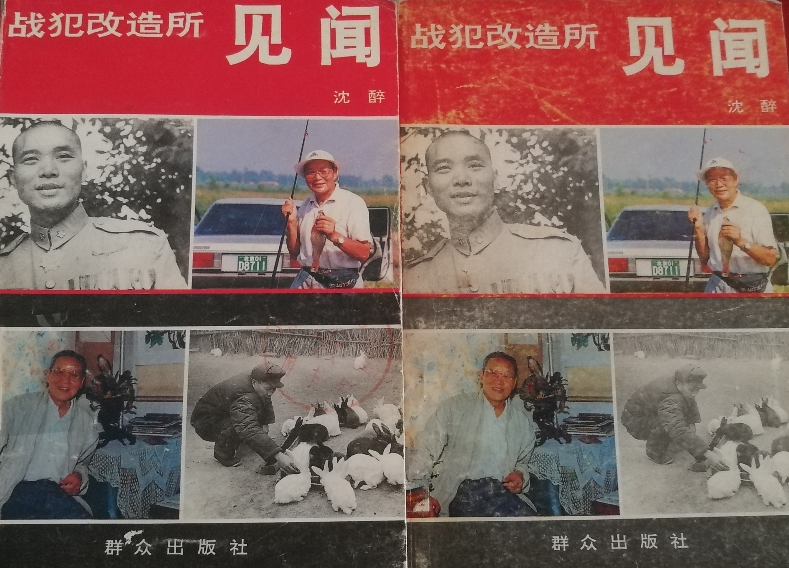 沈醉回忆录战犯改造所见闻,战犯改造所见闻沈醉