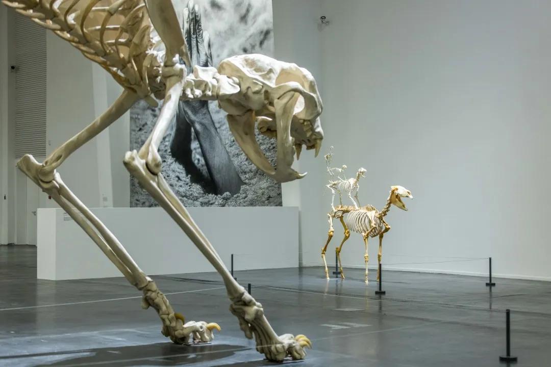 RR·PEOPLE|卡特兰：恶作剧艺术家