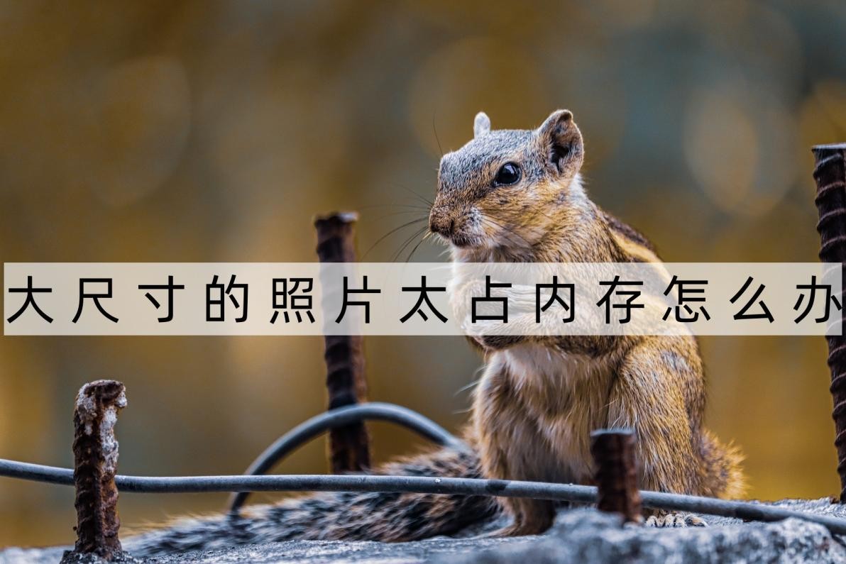 怎么改变照片的大小少占内存,照片内存太大如何缩小50kb