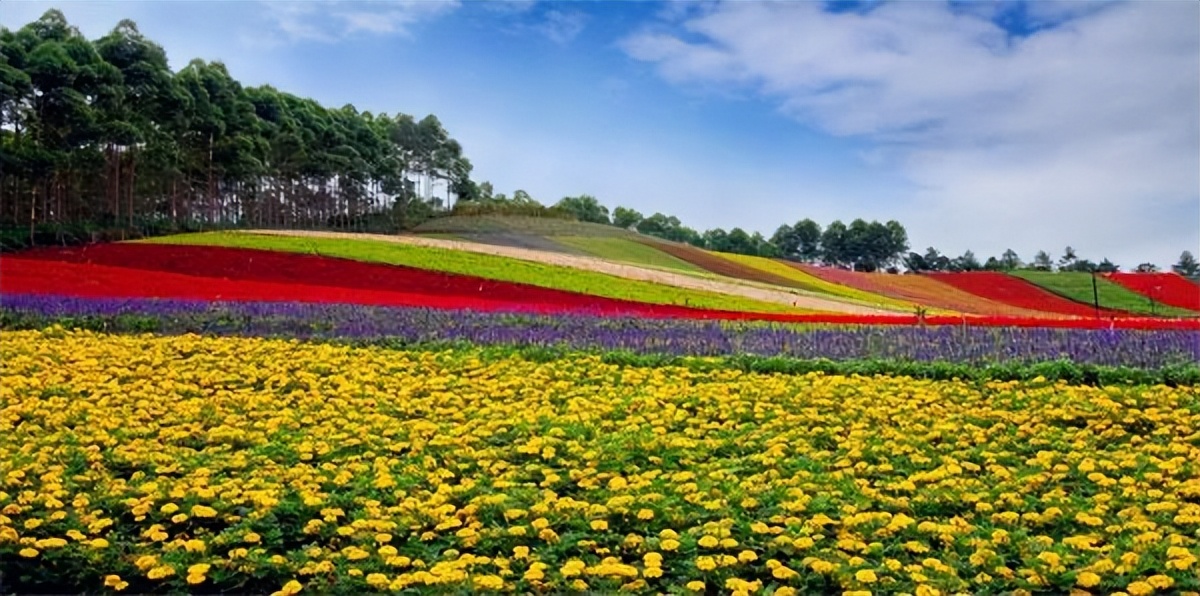 福建乡村旅游推荐,福建乡村游推荐