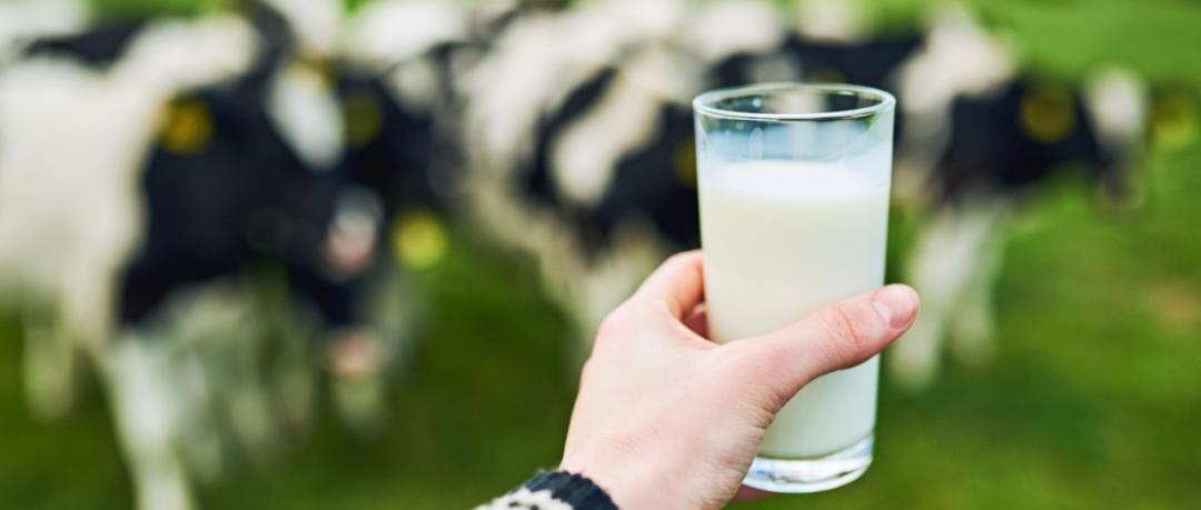 蒙牛属于龙头企业吗,蒙牛有没有垄断市场