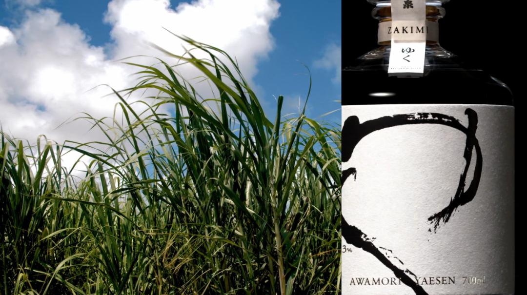 原研哉设计作品展览近期,原研哉极简风logo