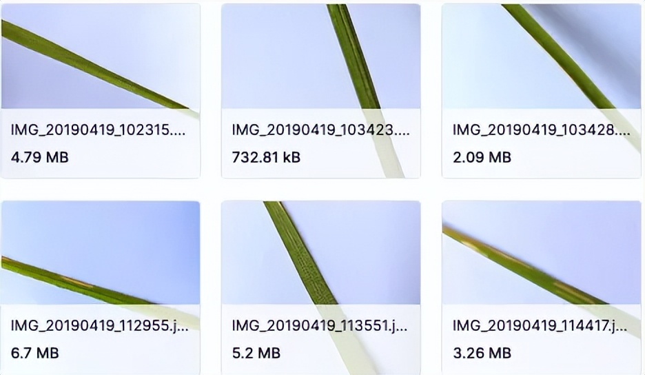 医学影像目标检测框架,开源数据集目标检测