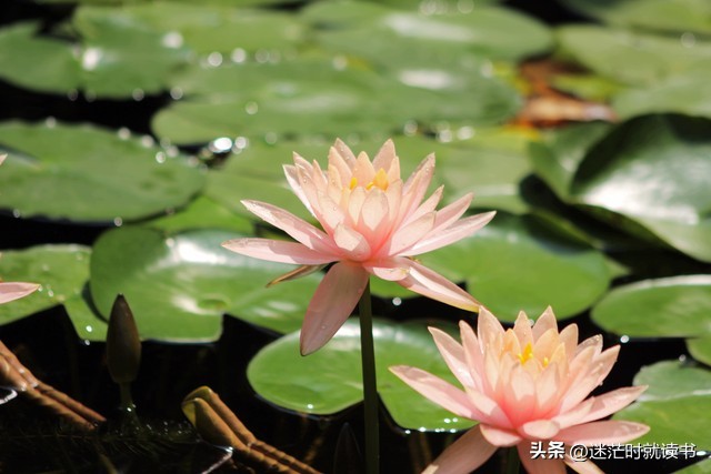 上班族日常消费行为,上班族5个赚钱技巧