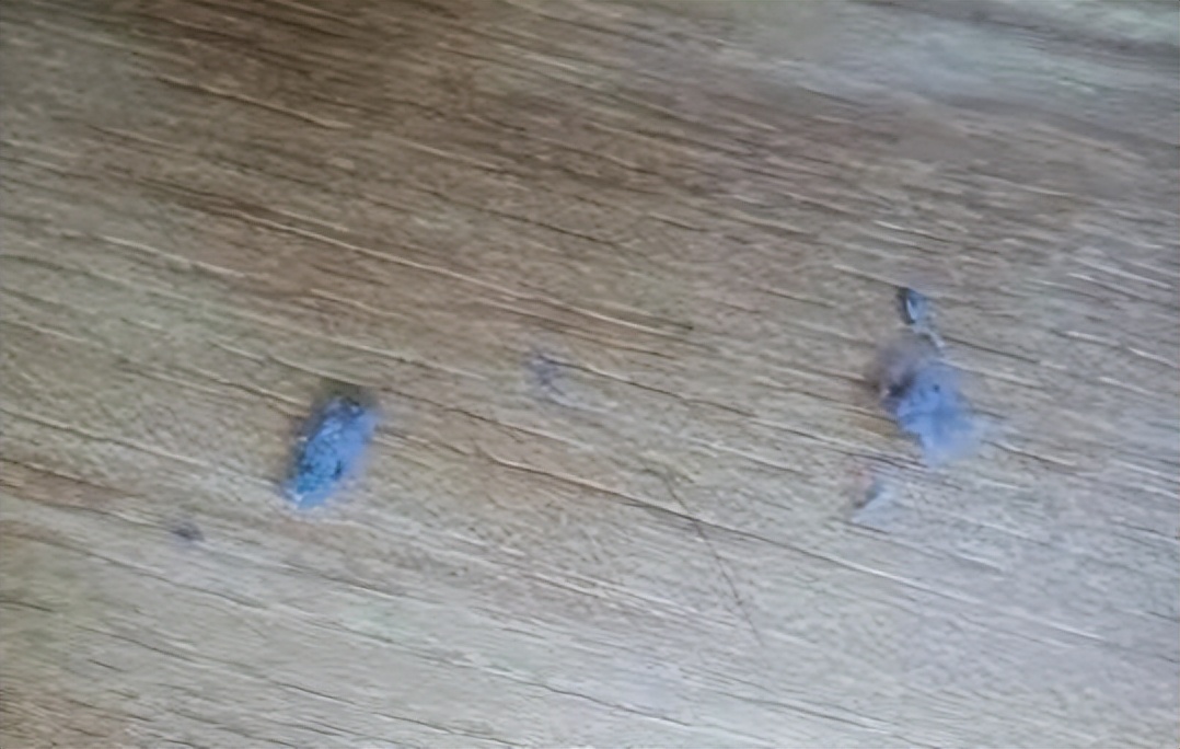 家里毛絮太多能怎么解决,家里到处都是毛絮怎么解决