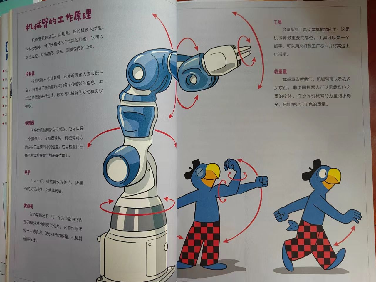 蓝鹦鹉格鲁比科普故事10册,蓝鹦鹉格鲁比科普故事书读书笔记