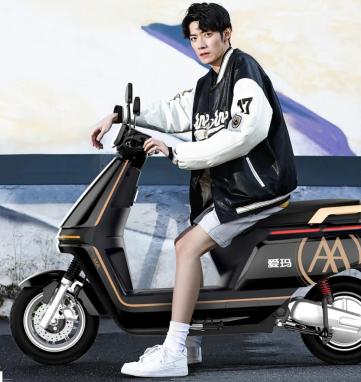 目前爱玛最好的电动车是哪款,爱玛电动车哪款最好