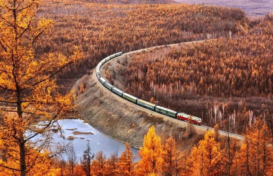 故地重游忆当年,故地重游忆往昔峥嵘岁月稠