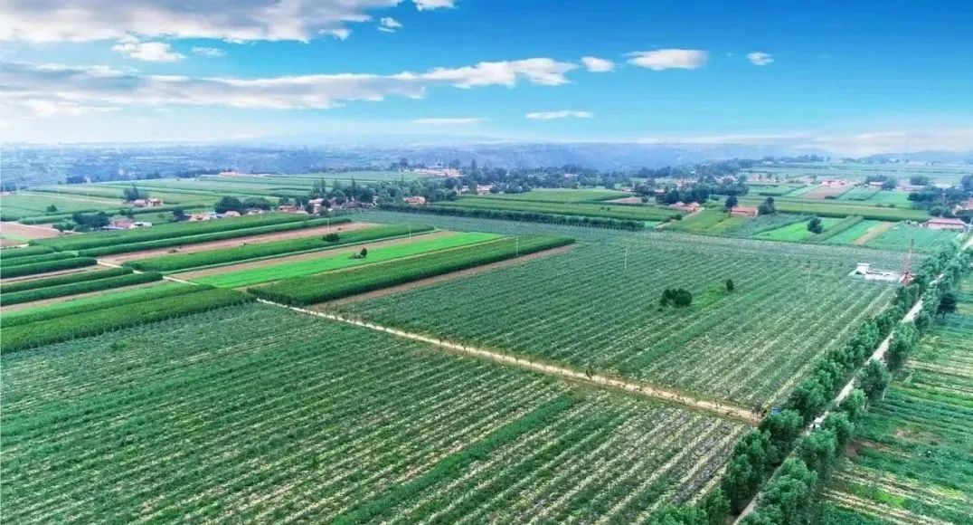 甘肃泾川讲解,甘肃泾川真实的现状