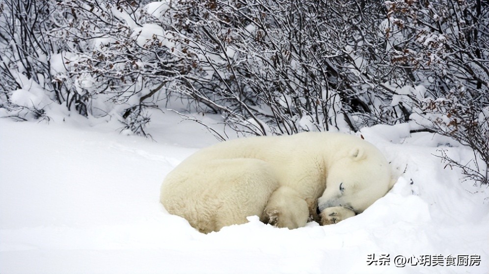 给中老年人的建议：要想冬季无烦忧，冬季4宝要记牢，早知早受益