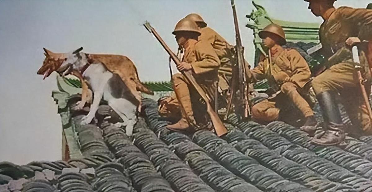 孩子吸吮母亲干瘪的乳房！42年河南饥荒真实场面，比电影残酷十倍