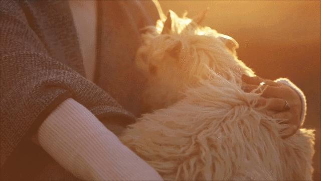 用4亿元的设备做一双500g的防水羊毛鞋,比雪地靴更暖和舒适